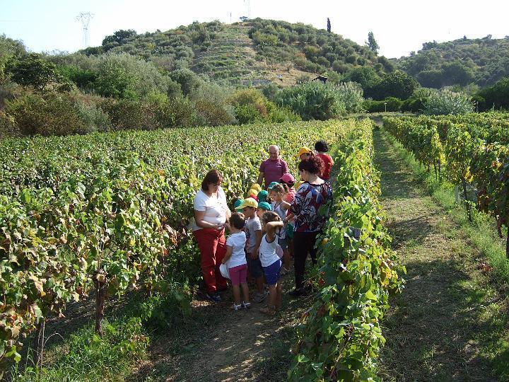 Agriturismo Parra Santa Lucia del Mela Zewnętrze zdjęcie