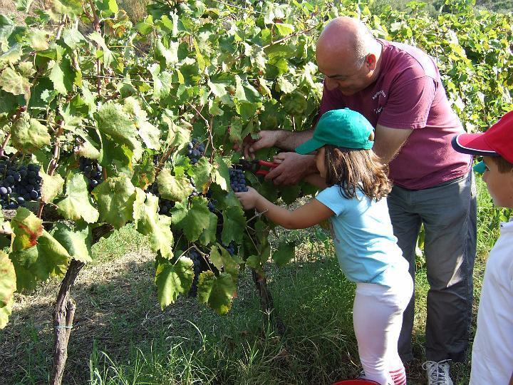 Agriturismo Parra Santa Lucia del Mela Zewnętrze zdjęcie