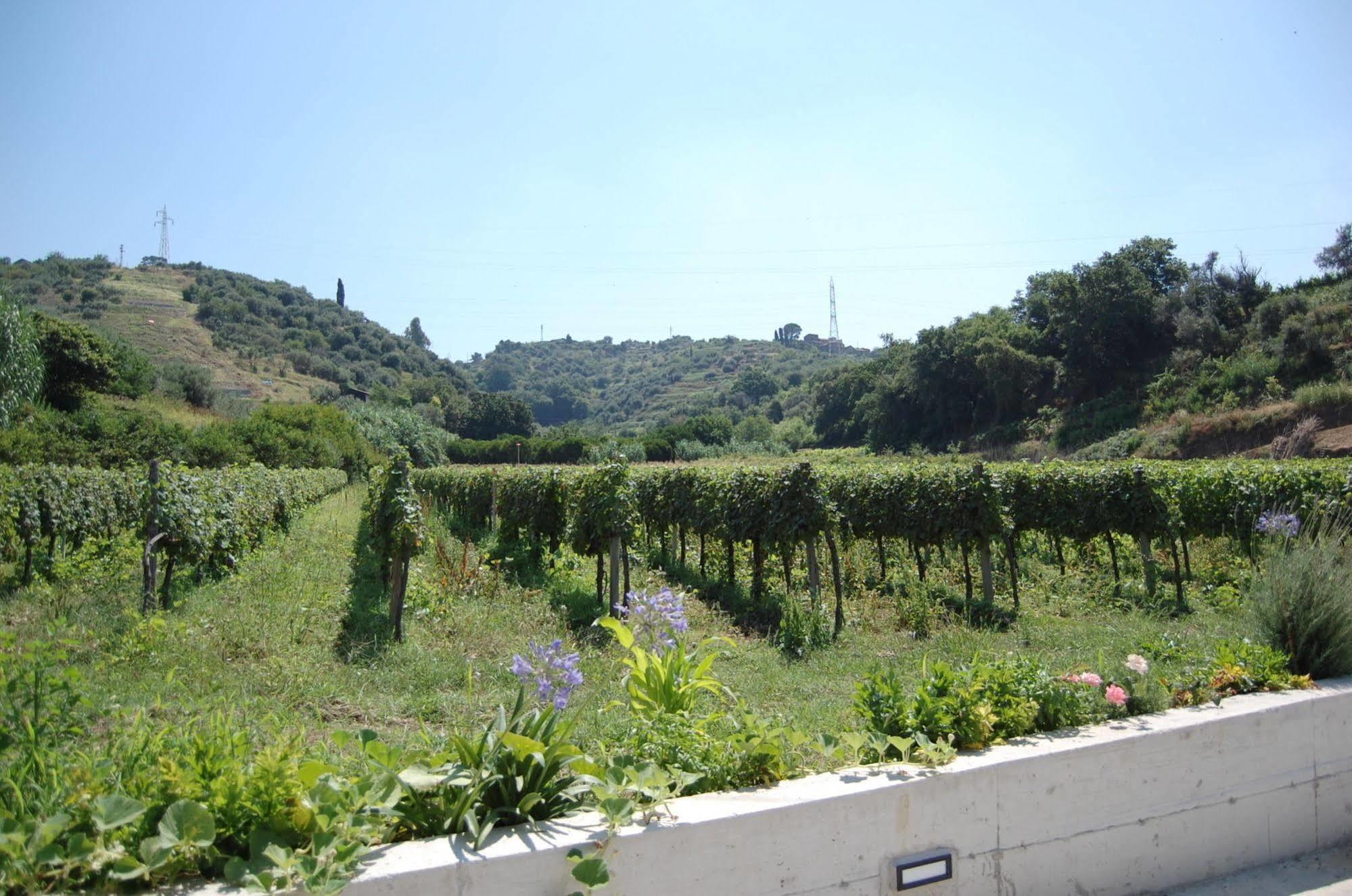 Agriturismo Parra Santa Lucia del Mela Zewnętrze zdjęcie